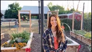 Pruning Pepper Plants for Winter / Garden Harvesting: Winter Prep & Future Plans