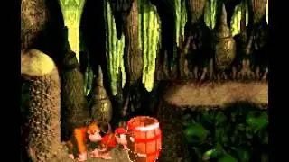Donkey Kong Country : 6-2 Split Up Glitch