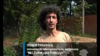 Сажаем клематис с Павлом Траннуа