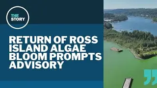 Oregon Health Authority issues advisory for parts of Willamette River, Ross Island Lagoon