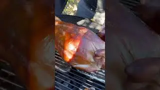 Whole hog on a Weber kettle! #wholehog #pigroast #shorts