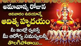 అమావాస్య రోజున ఆదిత్య హృదయం మీ ఇంట్లో ధ్వనిస్తే మీ ఆరోగ్య సమస్యలన్నీ తొలగిపోతాయి | Aditya Hrudayam