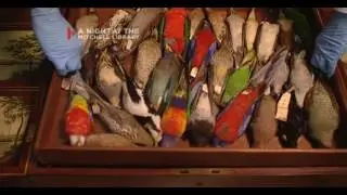 A Night at the Mitchell Library