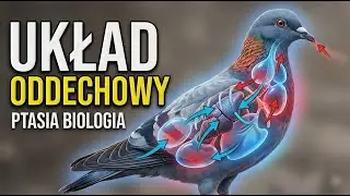 Drogi oddechowe u gołębi pocztowych – zdrowie i forma