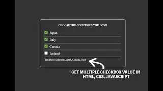 Get Multiple Checkbox Value In Array HTML, CSS, Javascript
