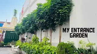 My entrance garden overview 🥰|| shade loving plants 