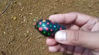 snail hunting!!! hermit crabs, rainbow snails🌈, yellow snails, green hills spotted snails