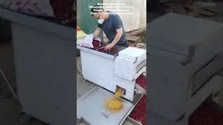 Dry Chili Cutting Seeds Separating Machine