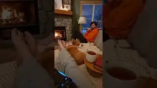 POV cozy couch moment after play  #mypug #bulldog #puppy #funny #cute #pets #dogshorts
