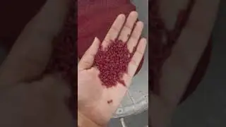 making of masterbatch.... #colormixing #masterbatch #pigment #machine #twinscrewextruder
