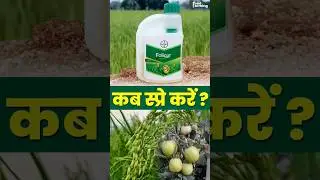 Bayer Folicur Fungicide | Bayer Folicur Fungicide | Tebuconazol | #bayer #agriculture #fungicide