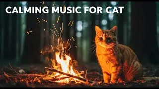 12 Hours of Relaxing Cat Music for Deep Sleep 😻 Soothing Sounds for Anxiety Relief & Healing 🐶