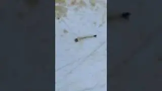 New hatch can devour you