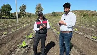 Technical Farmers Review about SUPIK SOIL. IN Jalgaon ,Maharashtra