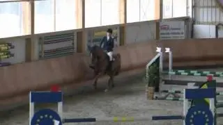 Big 2006 Quidams Rubin gelding
