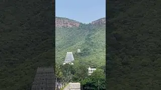 Jr pushapa raj 🤩 #pushpa #pushparaj #pushpamovie #reels #shortsvideo #kids #kidsvideo #travel