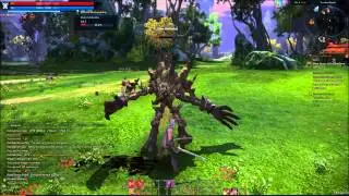 Tera online - Warrior gameplay