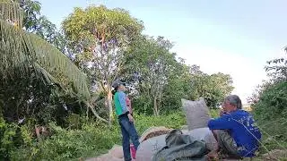 Hổm Rài Thất Nghiệp Mới Về Có Việc Làm Mừng Wá Qí Vị Ơi
