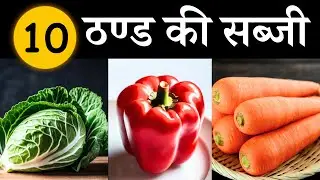 Which vegetables are available in winter? 10 Winter Vegetables Names | Names of Winter Vegetables...