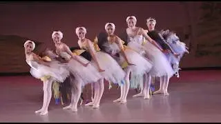 ABT SFTPA Costume Fundraiser