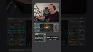 How to set up a feedbacking delay unit Ableton live #sounddesign #abletonlive #delay #kangdingray