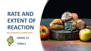 Rate and Extent of Reaction Full Chapter | Grade 12