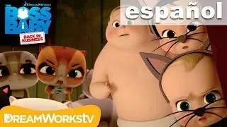 Gatástrofe | UN JEFE EN PAÑALES: DE VUELTA A LOS NEGOCIOS