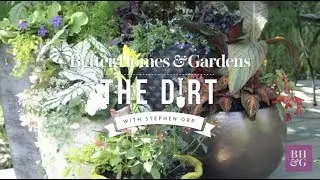 How to Plant a Container | The Dirt | Better Homes & Gardens