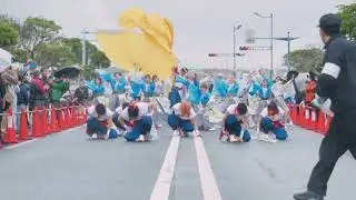 朝霞翔舞 │ 黒潮よさこい祭り2025（シンボルロード会場）