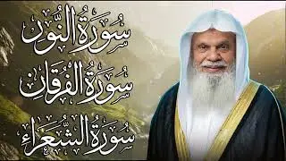 سور النور، الفرقان، الشعراء | الشيخ علي الحذيفي | لتثبيت الإيمان وزيادة الطمأنينة وهداية القلب