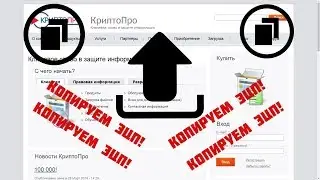 Выпуск 8 ЭТП ч.2: Копирование ЭЦП в КриптоПро