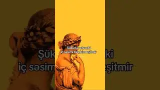 😂❤Whatsapp uсun maraqlı, MƏNALI statuslar, status uсun videolar, QƏMLI WHATSAPP STATUSLARI 2026
