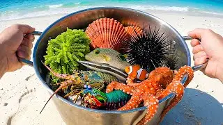 CATCH! Pufferfish, Shellfish, Ornamental Fish, Eel, Hermit Crab, Crab, Remora Fish, Lobster