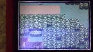 How to get Milotic with a Dead Internal Battery (Pokemon Ru