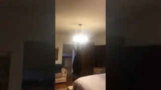 Albany Park, Chicago Apartment Virtual Tour