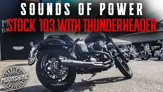 Stock Harley 103
