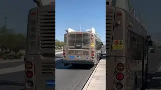 RTC route 115 NB Stephanie @ Sunset 9/8/23