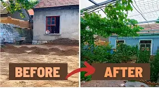 Satisfying Yard Cleanup | Amazing Before and After | Clean Everything