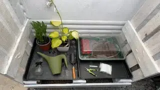Hidden outdoor grow space 🌱