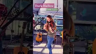 Dark Hollow - Andrew Beck on #Mandolin #fiddleexpress #siblings #bluegrass #familyband #darkhallow