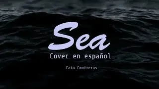 BTS 방탄소년단 - Sea 바다 (Cover en español)