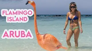 DO NOT Go To Renaissance Island Without Watching This First!