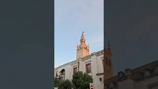 Volteo General de las Campanas de la Giralda por la Octava de la Inmaculada Concepción (Sevilla)