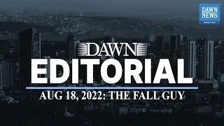 The Fall Guy | Editorial | Dawn News English