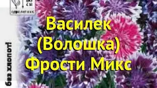 Василек. Краткий обзор, описание характеристик centaurea moschata, amberboa moschata Фрости Микс