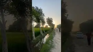 #ytshorts #nature #lifeisbutadream #agriculturetools #pakistan #birds #farmingtools #automobile