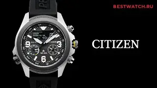 Часы Citizen Promaster Land Black Dial купить на Bestwatch.ru