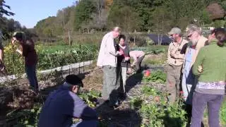 Farmscaping with Dr. McBug 8