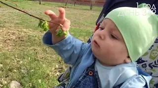 Как малыш Ян изучает природу. As a kid Ian is studying nature.