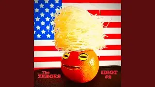 Idiot #2